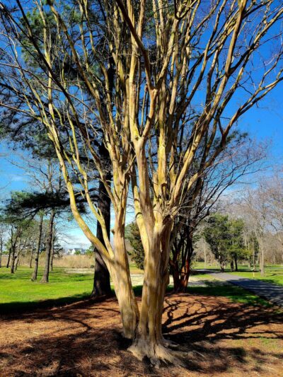 Long Point Park - Grasonville, MD
