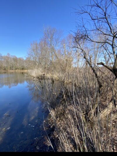 South Meadow Trail - Grasonville, MD