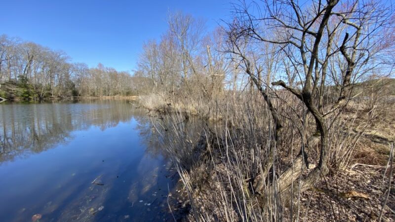 South Meadow Trail - Grasonville, MD