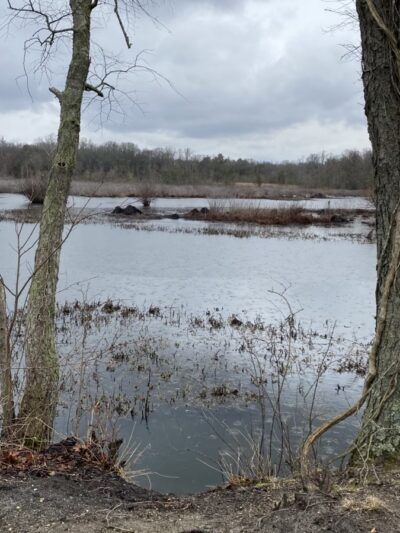 South Meadow Trail - Grasonville, MD