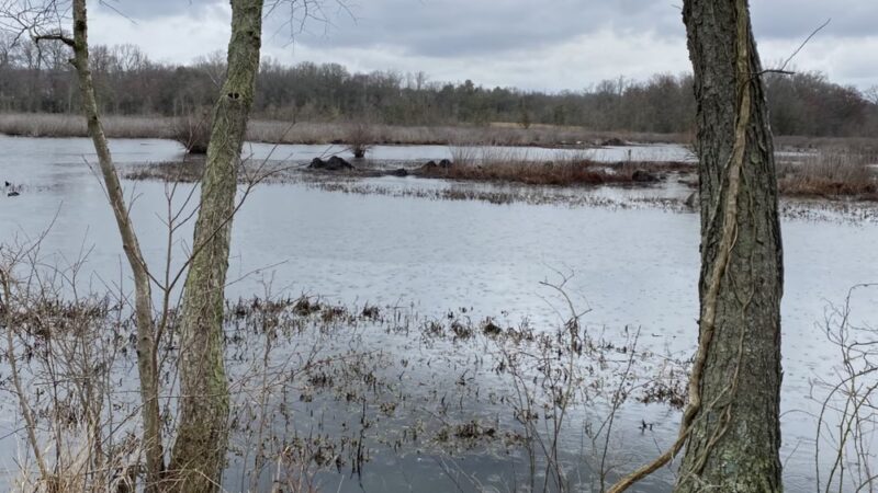 South Meadow Trail - Grasonville, MD
