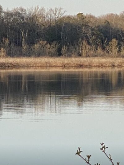 South Meadow Trail - Grasonville, MD