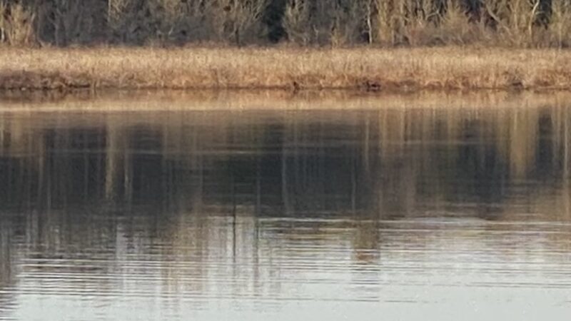 South Meadow Trail - Grasonville, MD