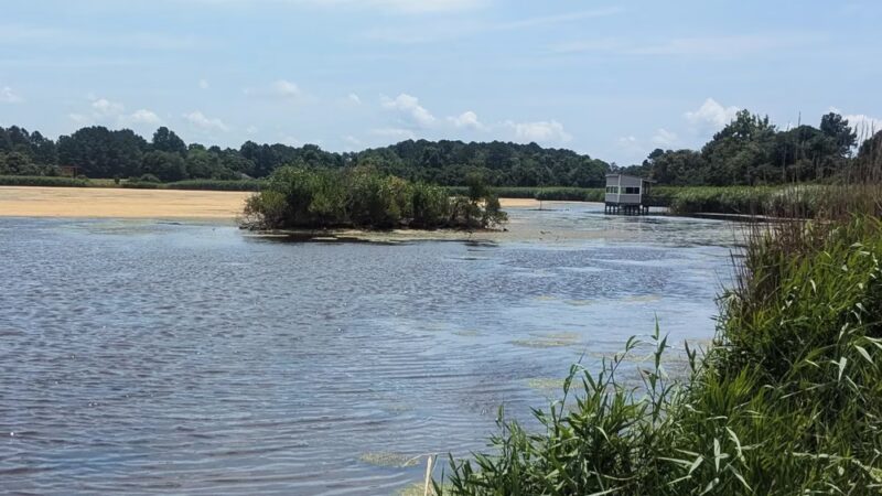 South Meadow Trail - Grasonville, MD