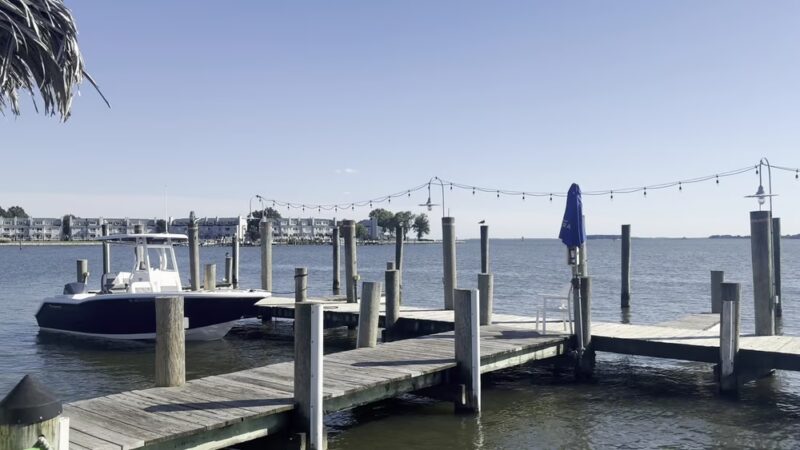 The Jetty - Grasonville, MD