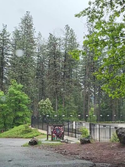 Condon Park - Grass Valley, CA