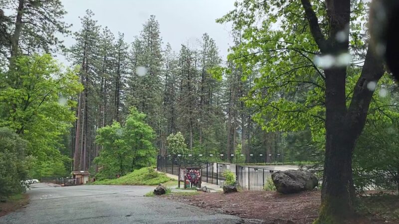 Condon Park - Grass Valley, CA
