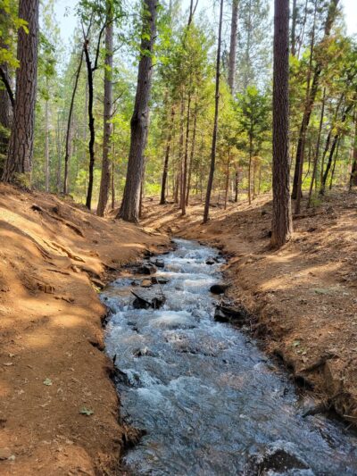 Condon Park - Grass Valley, CA