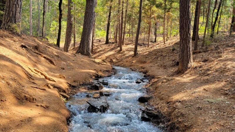 Condon Park - Grass Valley, CA
