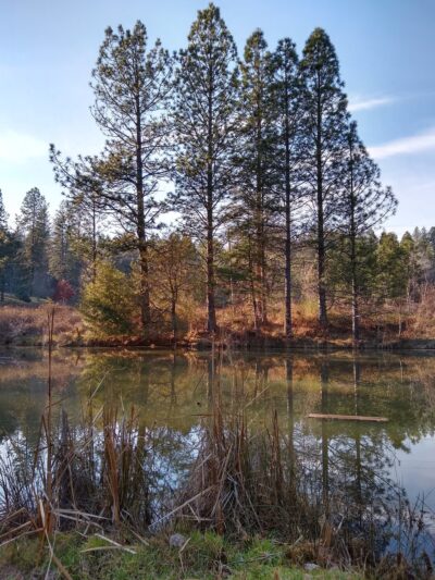 Mathis Park - Grass Valley, CA