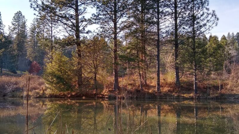 Mathis Park - Grass Valley, CA