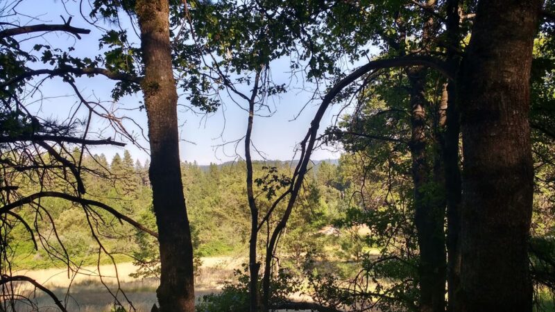 Mathis Park - Grass Valley, CA
