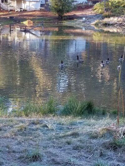Mathis Park - Grass Valley, CA