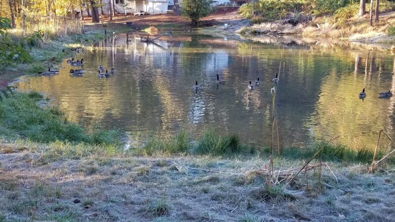 Mathis Park - Grass Valley, CA