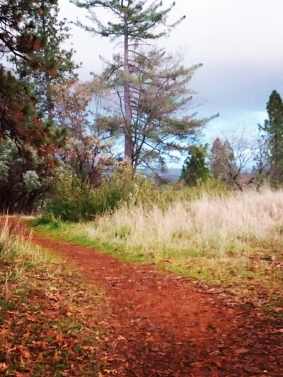 Mathis Park - Grass Valley, CA