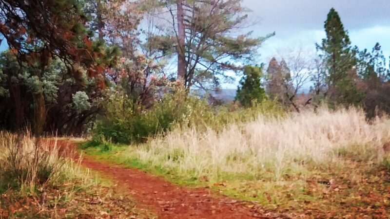 Mathis Park - Grass Valley, CA