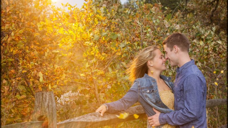 Central Park - Grayslake, IL