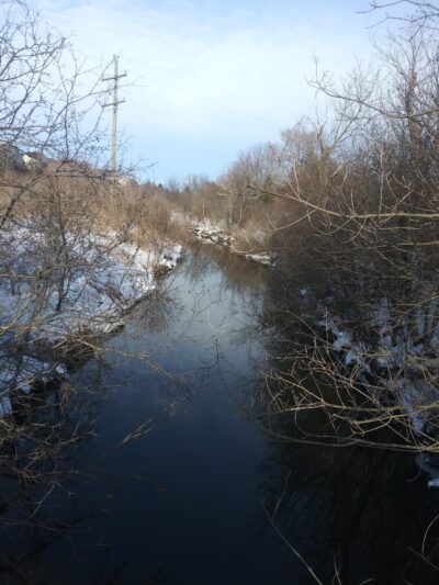 Cherry Creek Park - Grayslake, IL