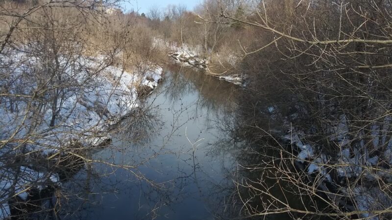 Cherry Creek Park - Grayslake, IL