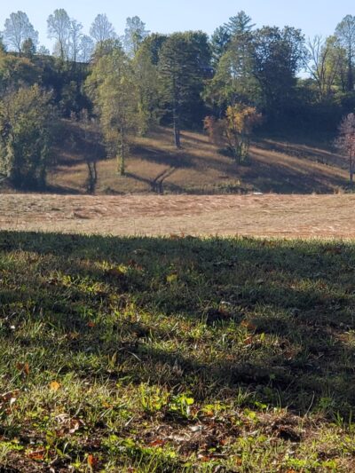 Grayson Walking Trail - Grayson, KY