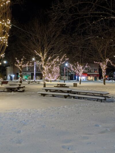 Village Green Park - Great Neck, NY