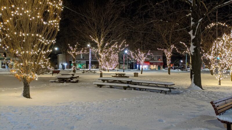 Village Green Park - Great Neck, NY