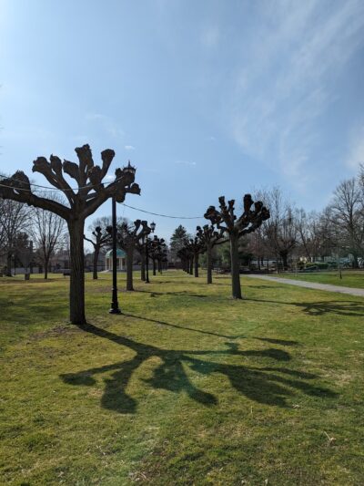 Village Green Park - Great Neck, NY