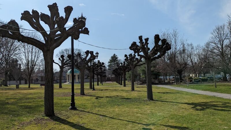 Village Green Park - Great Neck, NY