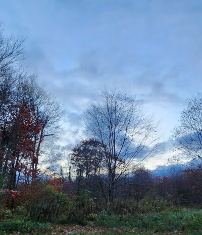 McCarty Hill State Forest Parking Area - Great Valley, NY