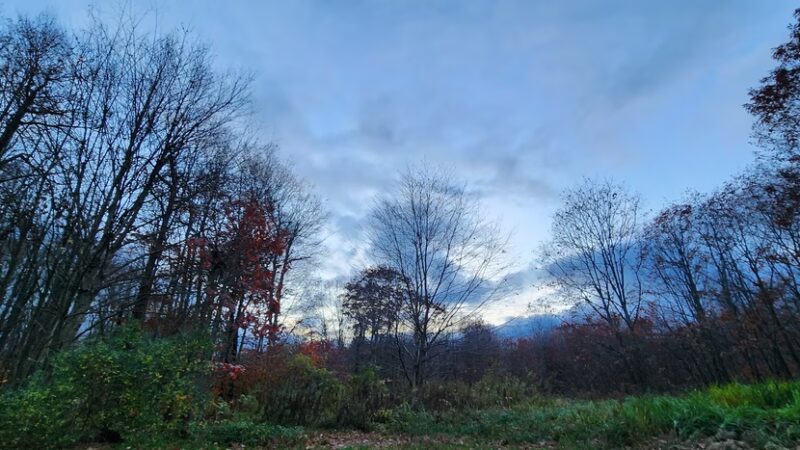 McCarty Hill State Forest Parking Area - Great Valley, NY