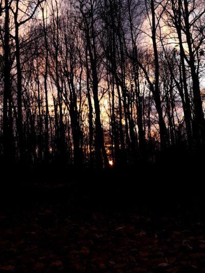 McCarty Hill State Forest Parking Area - Great Valley, NY