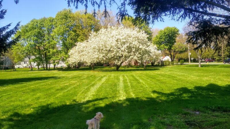 Columbus Park - Greece, NY