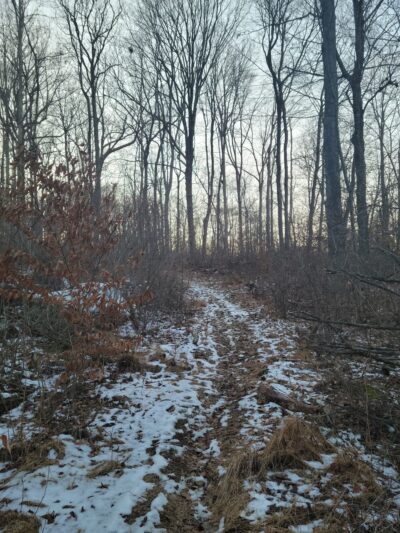 Manderfield Preserve - Green Lane, PA