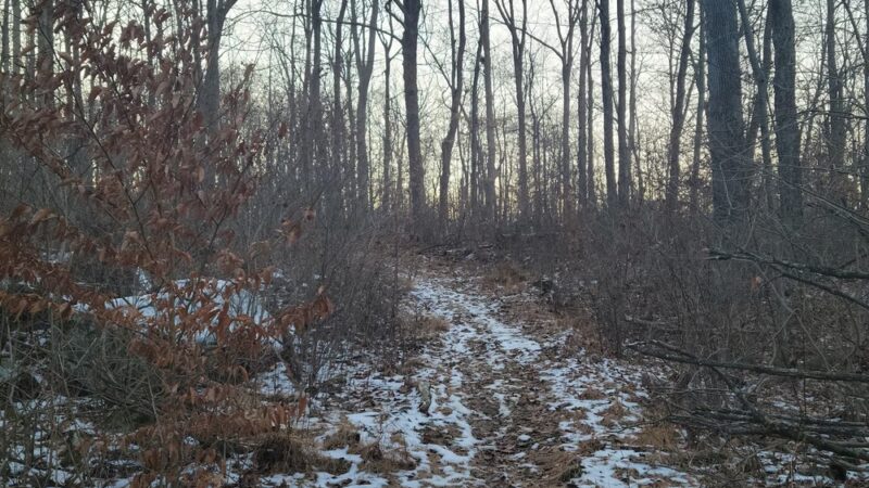 Manderfield Preserve - Green Lane, PA