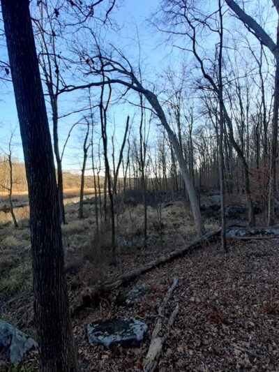 White's Mill Preservation Area - Green Lane, PA