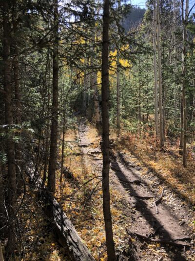 Catamount Trailhead - Green Mountain Falls, CO