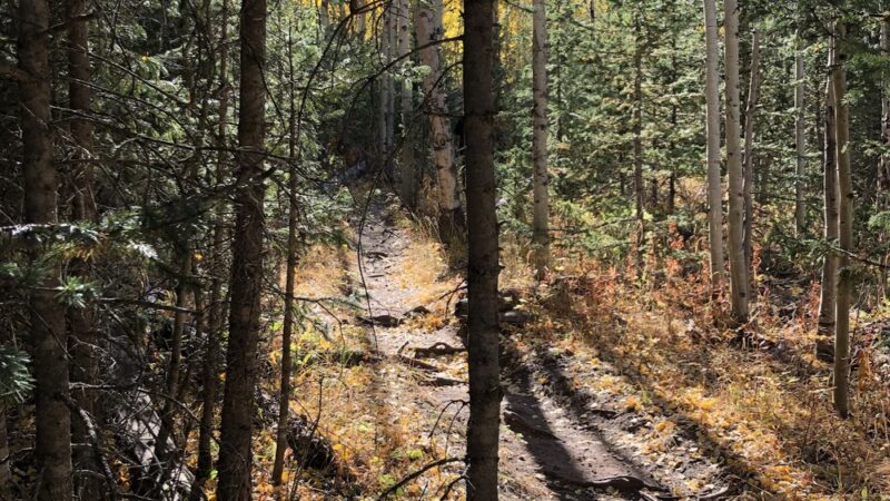 Catamount Trailhead - Green Mountain Falls, CO