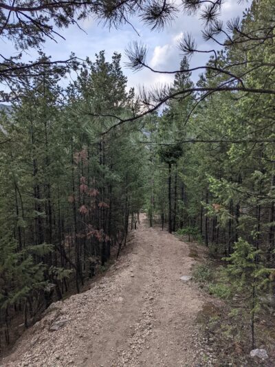 Crystal Trailhead - Green Mountain Falls, CO