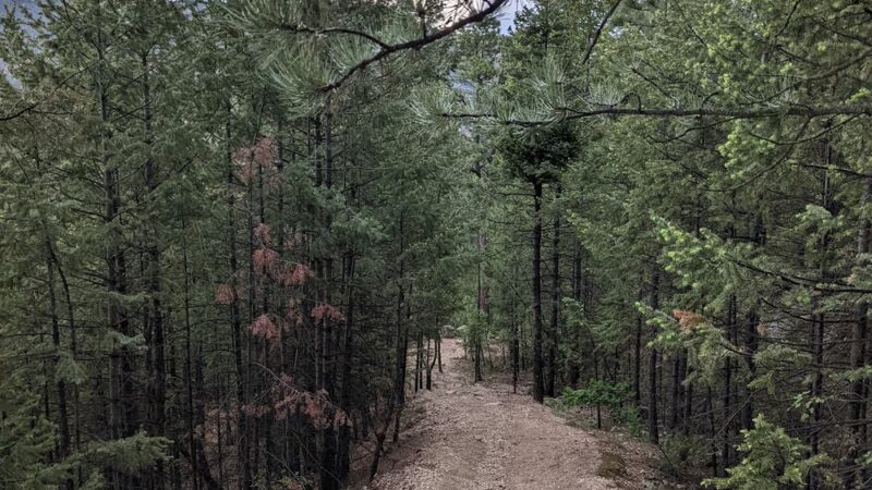 Crystal Trailhead - Green Mountain Falls, CO