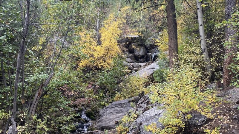 Crystal Trailhead - Green Mountain Falls, CO