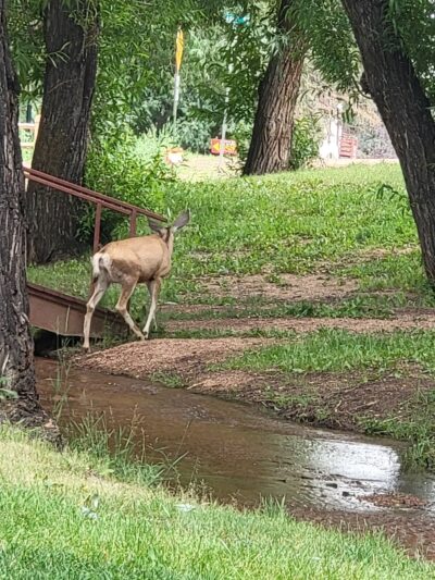 Pool Park - Green Mountain Falls, CO