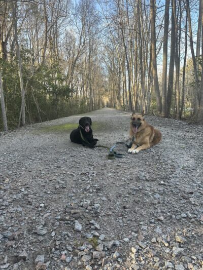 ACE Basin Greenway - Green Pond, SC