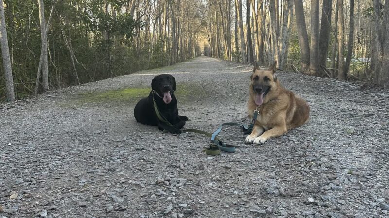 ACE Basin Greenway - Green Pond, SC