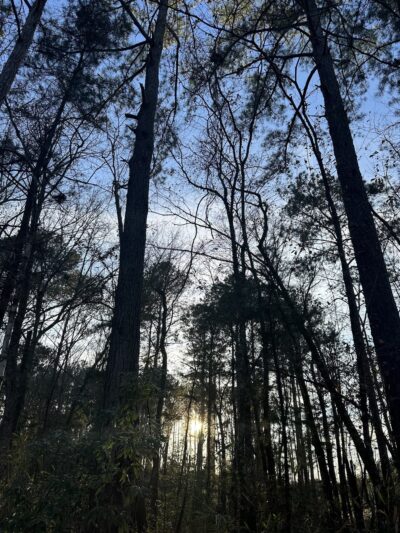 ACE Basin Greenway - Green Pond, SC