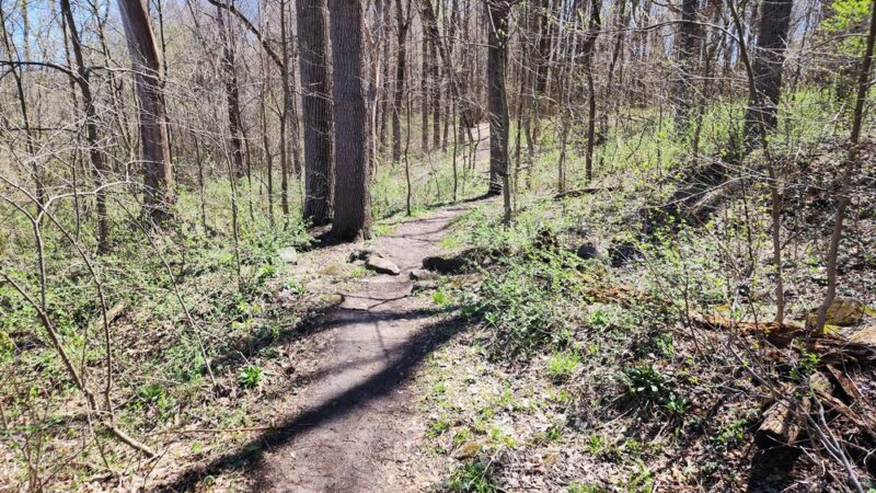 Kegel Alpha Trail - Greendale, WI
