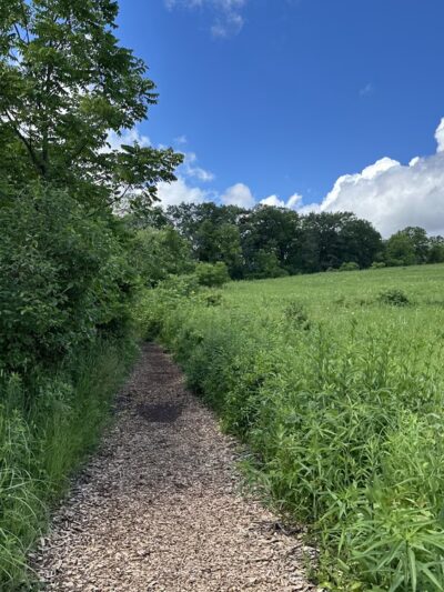 Kegel Alpha Trail - Greendale, WI