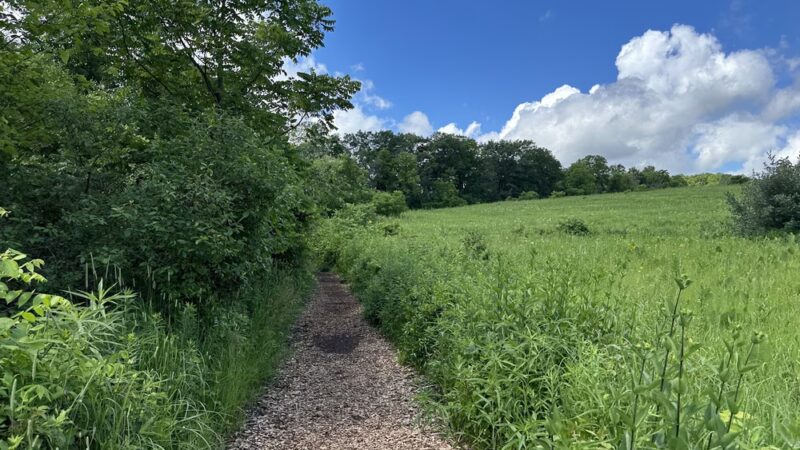 Kegel Alpha Trail - Greendale, WI