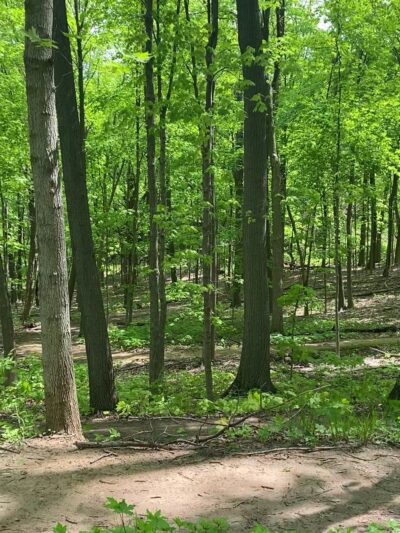 Kegel Alpha trail access - Greendale, WI