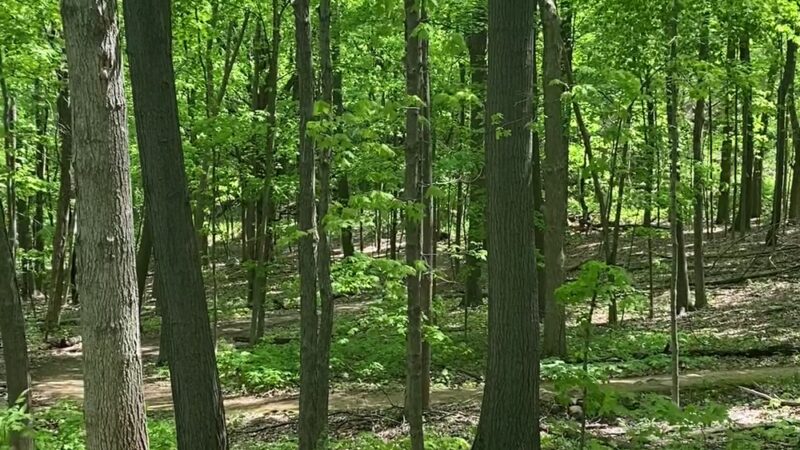Kegel Alpha trail access - Greendale, WI