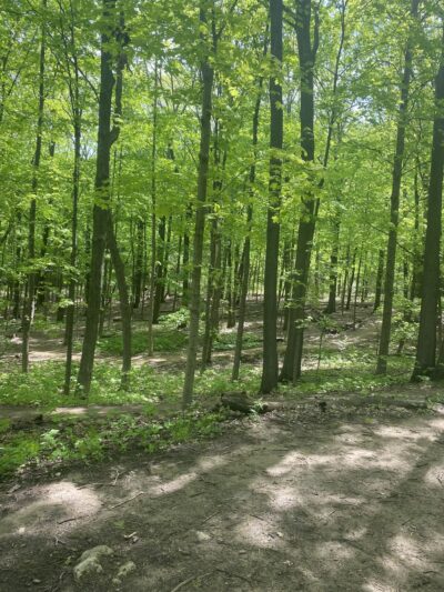 Kegel Alpha trail access - Greendale, WI